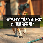 养老服务市场全面开放,如何推动发展?(图3) 养老服务市场全面开放,如何推动发展?(图3)