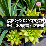 福彩公益金如何支撑养老?探访河南社区老年服务中心(图3) 福彩公益金如何支撑养老?探访河南社区老年服务中心(图3)