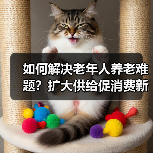 如何解决老年人养老难题？扩大供给促消费新举措（图4）