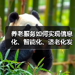养老服务如何实现信息化、智能化、适老化发展？专家解读未来方向（图3）