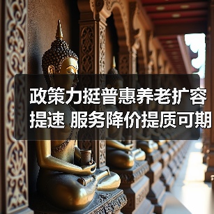 政策力挺普惠养老扩容提速 服务降价提质可期（图2）