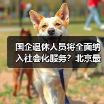 国企退休人员将全面纳入社会化服务？北京最新进展揭秘（图3）