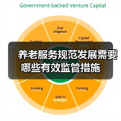 养老服务规范发展需要哪些有效监管措施（图4）