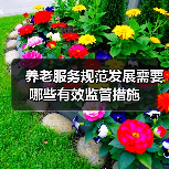 养老服务规范发展需要哪些有效监管措施（图3）