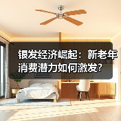 银发经济崛起：新老年消费潜力如何激发？（图3）
