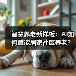 智慧养老新样板：AI如何赋能居家社区养老？（图4）