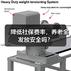 降低社保费率，养老金发放安全吗？（图1）