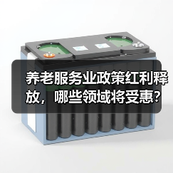 养老服务业政策红利释放，哪些领域将受惠？（图1）
