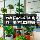 养老服务业政策红利释放，哪些领域将受惠？（图4）