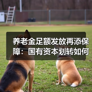 养老金足额发放再添保障：国有资本划转如何助力？（图3）