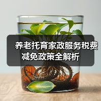 养老托育家政服务税费减免政策全解析（图3）