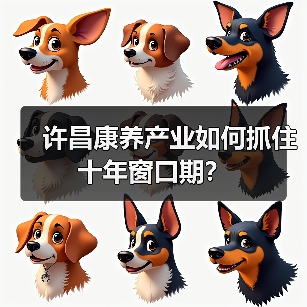 许昌康养产业如何抓住十年窗口期？（图2）