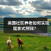英国社区养老如何实现居家式照顾？（图2）