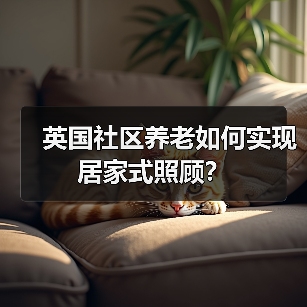 英国社区养老如何实现居家式照顾？（图3）