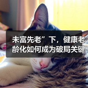未富先老”下，健康老龄化如何成为破局关键？（图2）