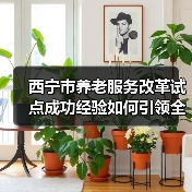 西宁市养老服务改革试点成功经验如何引领全国？（图1）