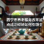 西宁市养老服务改革试点成功经验如何引领全国？（图3）