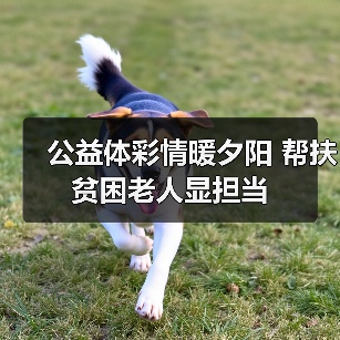 公益体彩情暖夕阳 帮扶贫困老人显担当（图4）