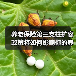 养老保险第三支柱扩容政策将如何影响你的养老选择？（图2）
