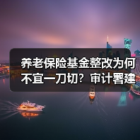 养老保险基金整改为何不宜一刀切?审计署建议因情施策(图2) 养老保险基金整改为何不宜一刀切?审计署建议因情施策(图2)