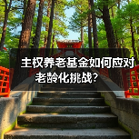 主权养老基金如何应对老龄化挑战？（图1）