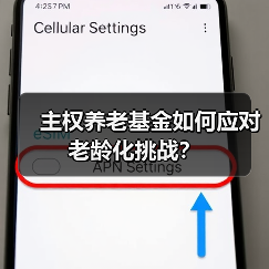 主权养老基金如何应对老龄化挑战？（图3）
