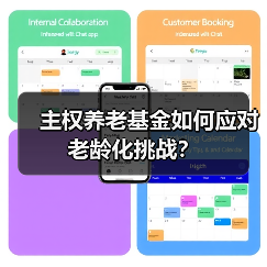 主权养老基金如何应对老龄化挑战？（图4）