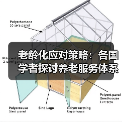 老龄化应对策略：各国学者探讨养老服务体系建设（图2）