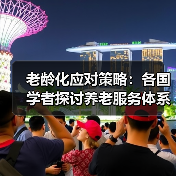 老龄化应对策略：各国学者探讨养老服务体系建设（图4）