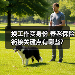 换工作变身份 养老保险衔接关键点有哪些?(图1) 换工作变身份 养老保险衔接关键点有哪些?(图1)