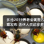 多地2019养老金调整方案发布 退休人员能拿多少钱?(图3) 多地2019养老金调整方案发布 退休人员能拿多少钱?(图3)