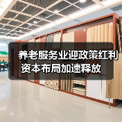 养老服务业迎政策红利 资本布局加速释放（图4）