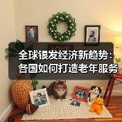 全球银发经济新趋势：各国如何打造老年服务新方案？（图2）