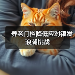 养老门槛降低应对银发浪潮挑战（图1）
