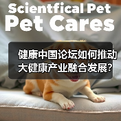 健康中国论坛如何推动大健康产业融合发展？（图2）