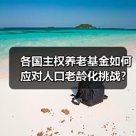 各国主权养老基金如何应对人口老龄化挑战?(图3) 各国主权养老基金如何应对人口老龄化挑战?(图3)