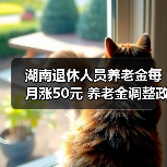 湖南退休人员养老金每月涨50元 养老金调整政策解读（图1）