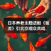 日本养老主题话剧《暖流》引北京观众共鸣，中日携手关爱老人（图3）
