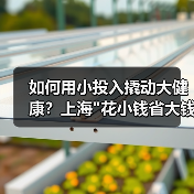 如何用小投入撬动大健康?上海 如何用小投入撬动大健康?上海