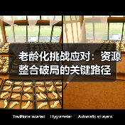 老龄化挑战应对:资源整合破局的关键路径(图3) 老龄化挑战应对:资源整合破局的关键路径(图3)