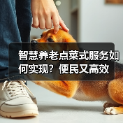 智慧养老点菜式服务如何实现？便民又高效（图1）