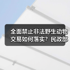 全面禁止非法野生动物交易如何落实?民政部座谈会解读(图3) 全面禁止非法野生动物交易如何落实?民政部座谈会解读(图3)