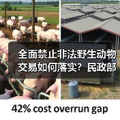 全面禁止非法野生动物交易如何落实?民政部座谈会解读(图4) 全面禁止非法野生动物交易如何落实?民政部座谈会解读(图4)