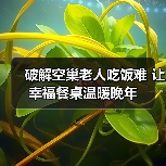 破解空巢老人吃饭难 让幸福餐桌温暖晚年（图1）