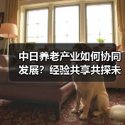 中日养老产业如何协同发展?经验共享共探未来(图2) 中日养老产业如何协同发展?经验共享共探未来(图2)