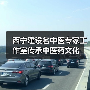 西宁建设名中医专家工作室传承中医药文化(图2) 西宁建设名中医专家工作室传承中医药文化(图2)