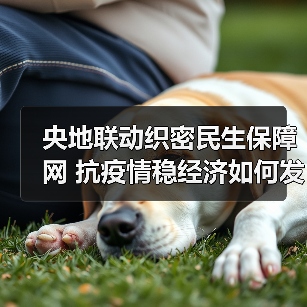 央地联动织密民生保障网 抗疫情稳经济如何发力?(图1) 央地联动织密民生保障网 抗疫情稳经济如何发力?(图1)
