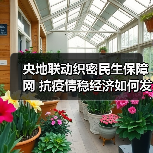 央地联动织密民生保障网 抗疫情稳经济如何发力?(图4) 央地联动织密民生保障网 抗疫情稳经济如何发力?(图4)