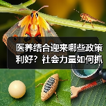 医养结合迎来哪些政策利好？社会力量如何抓住新机遇？（图3）