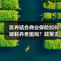 医养结合商业保险如何破解养老困局?政策支持成关键(图4) 医养结合商业保险如何破解养老困局?政策支持成关键(图4)